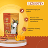 Dogsee Chew Gigabites Pumpkin and Cinnamon Dog Cookie Treats Dog Treats + Others Dogsee Chew