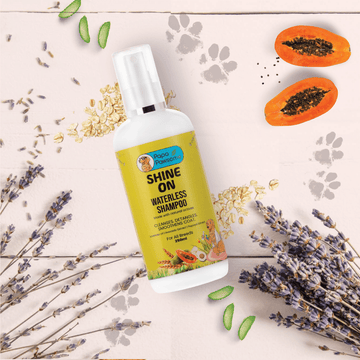 Papa Pawsome Shine On Waterless Shampoo for Dogs