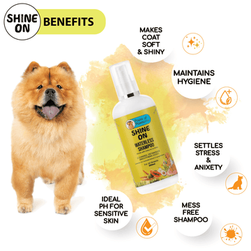 Papa Pawsome Shine On Waterless Shampoo for Dogs