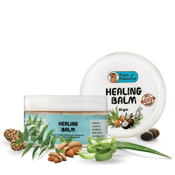 Papa Pawsome 100% Natural Healing Balm for Dog