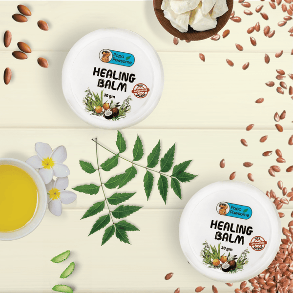 Papa Pawsome 100% Natural Healing Balm for Dog