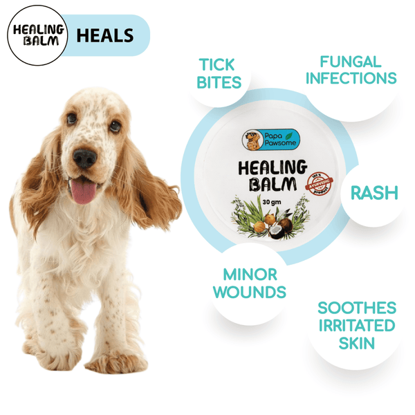 Papa Pawsome 100% Natural Healing Balm for Dog