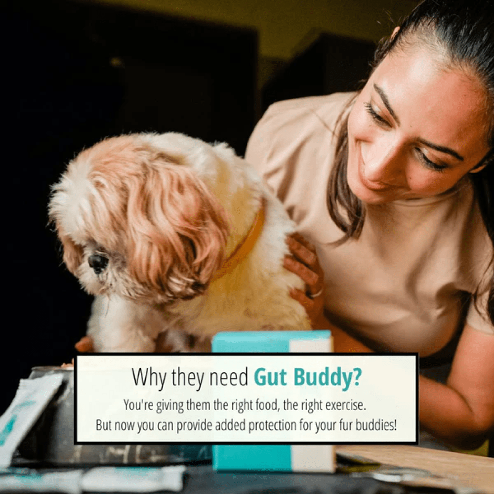 Doggie Dabbas Gut Buddy for Dogs and Cats