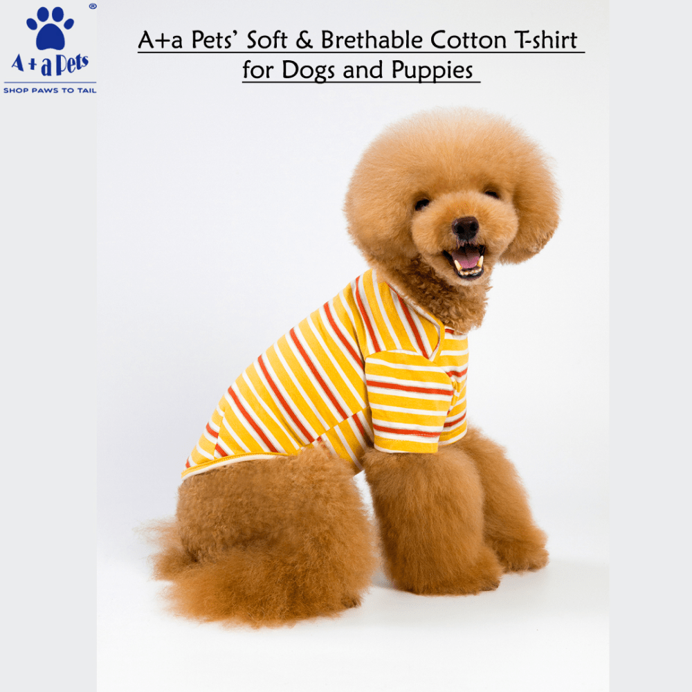 A Plus A Pets Soft Cotton T Shirts for Dogs (Yellow)