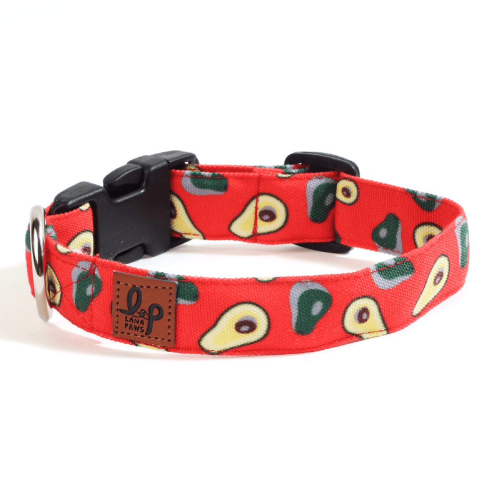 Lana Paws Avocados Printed Collar for Dogs (Red)