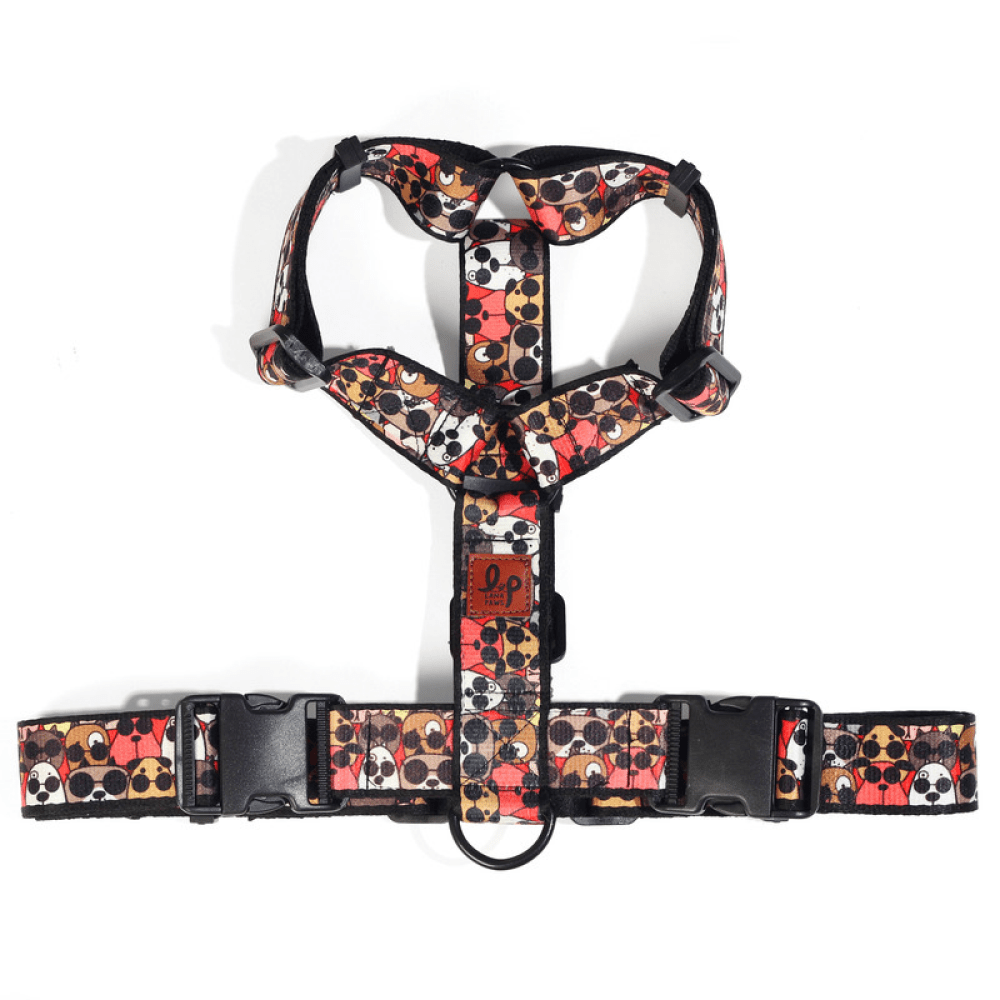 Lana Paws Googly Goggly H Harness for Dogs