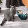 Emily Pets Automatic Water Dispenser Double Bowls for Dogs and Cats (Blue) Both-Bowls & Feeders Emily Pets