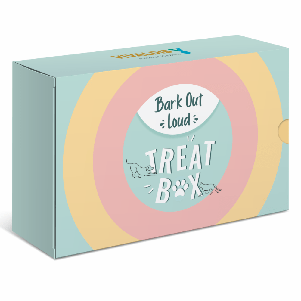 Bark Out Loud Treat Box for Dogs and Cats (Pack of 4)