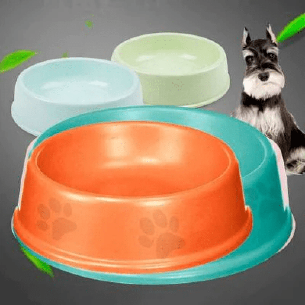 Emily Pets Single Round food bowls for Dogs and Cats (Orange)