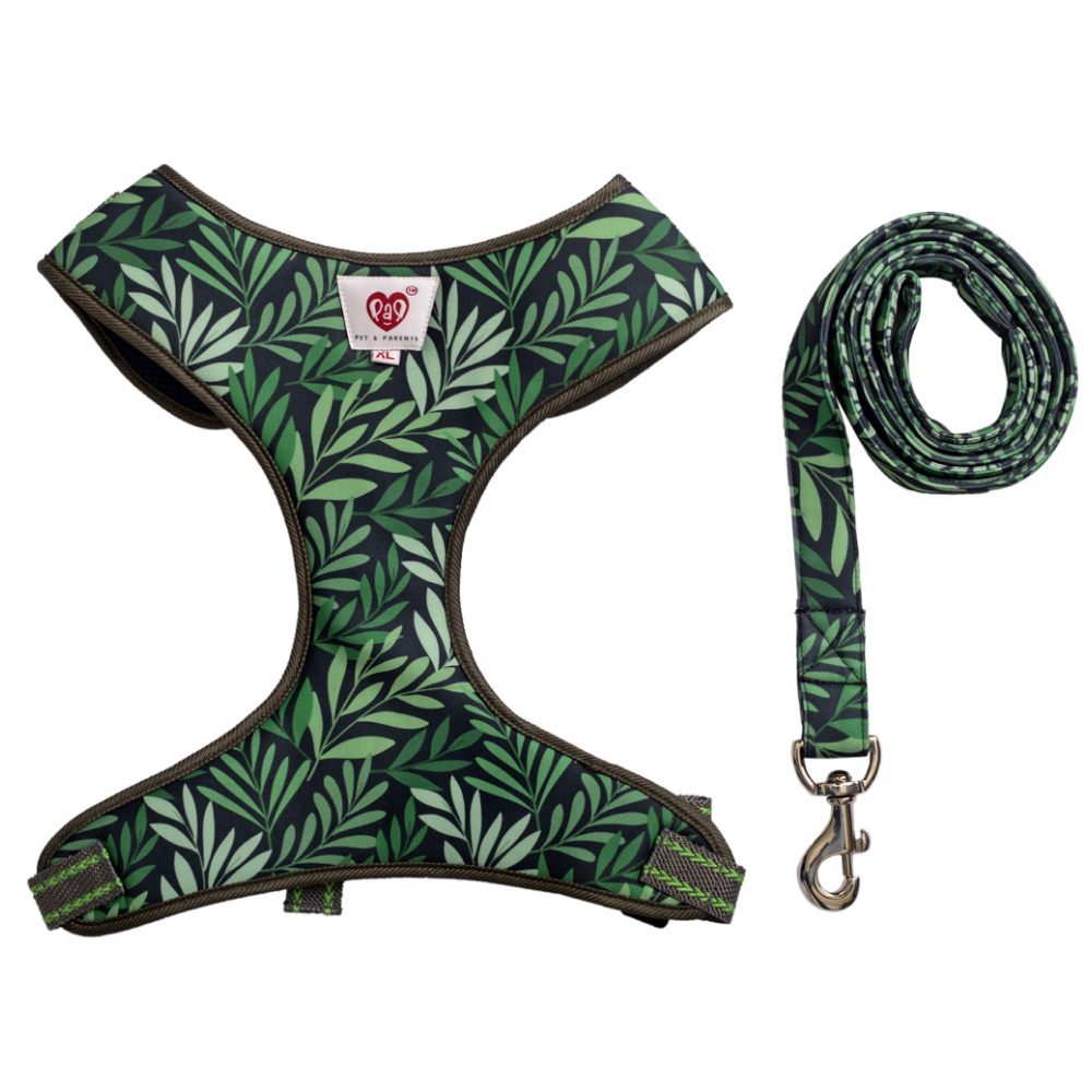 Pet And Parents Green Leaf Padded Harness + Leash for Dogs