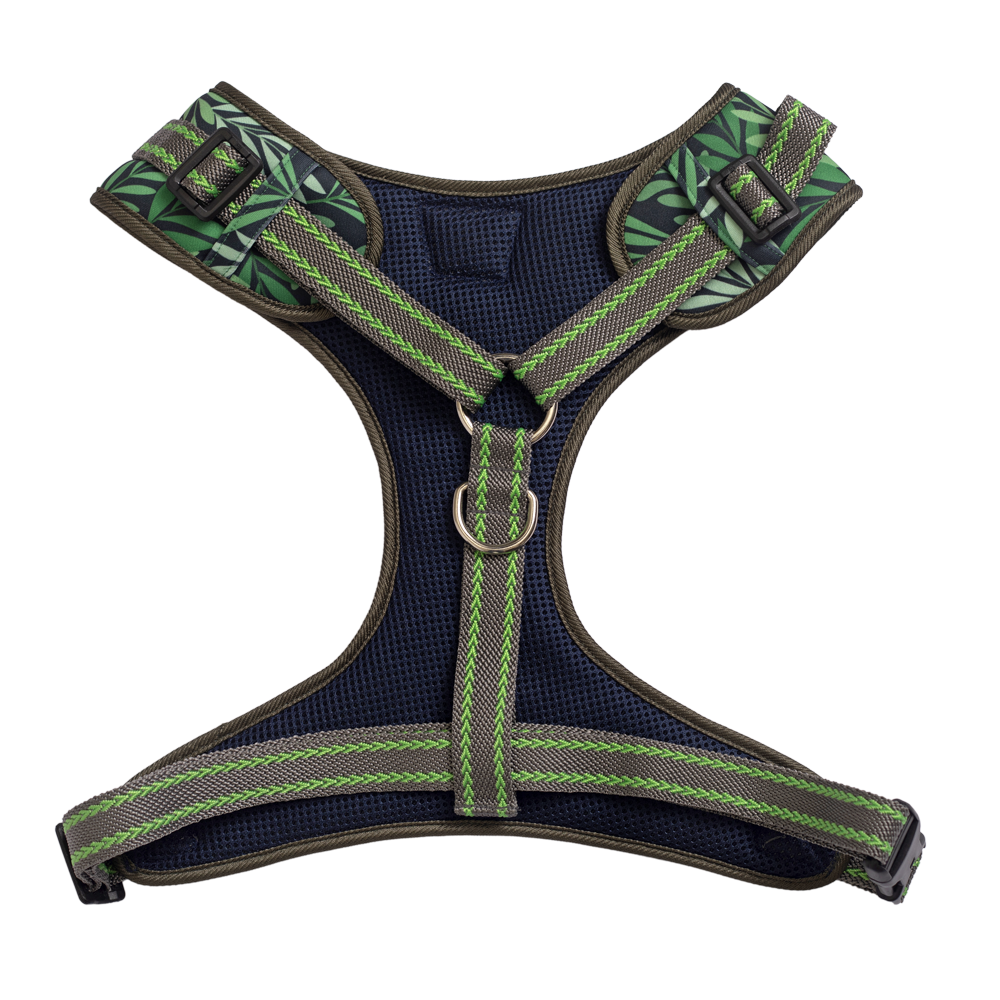 Pet And Parents Green Leaf Padded Harness + Leash for Dogs