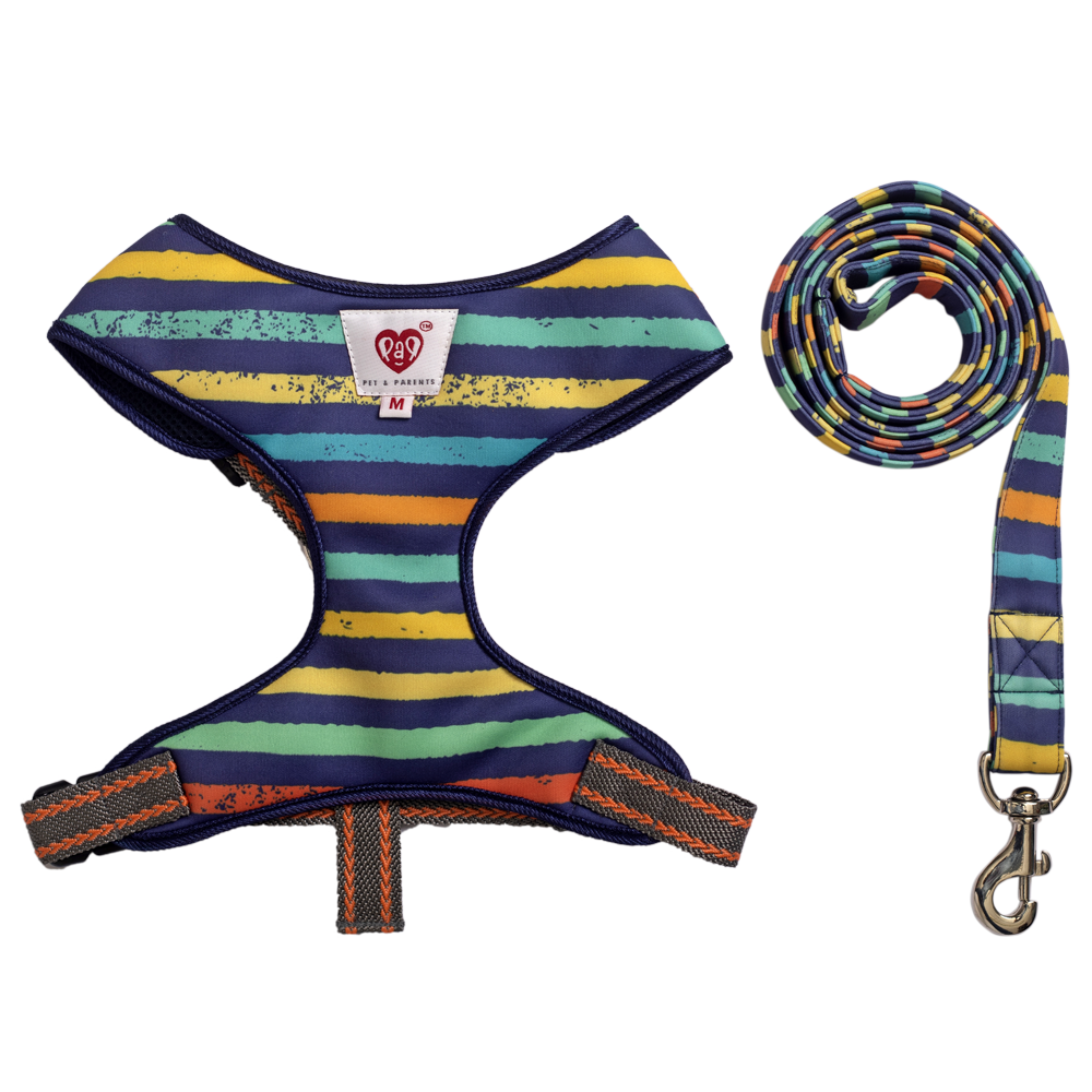 Pet And Parents Multi Stripes Padded Harness + Leash for Dogs