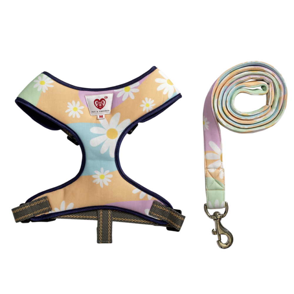 Pet And Parents Darling Daisy Padded Harness + Leash for Dogs