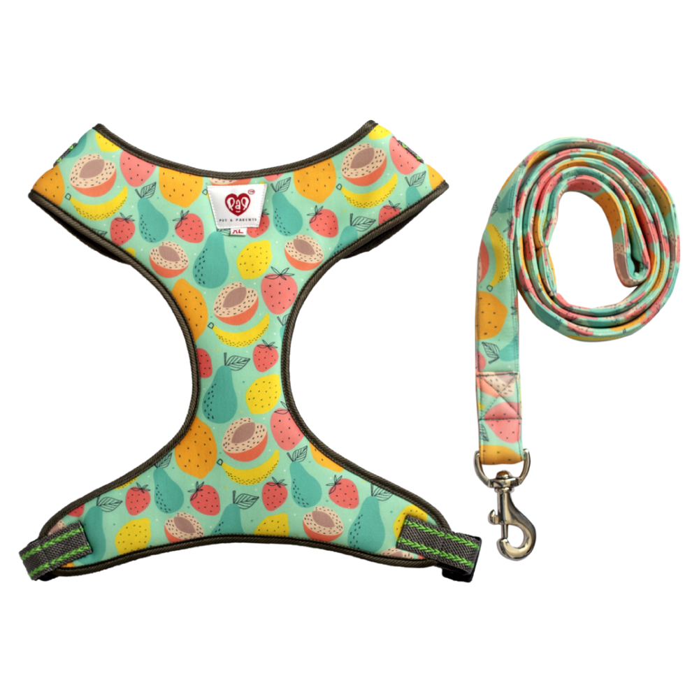 Pet And Parents Peaches and Pear Padded Harness + Leash for Dogs