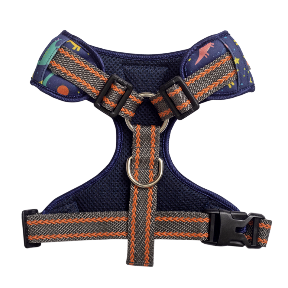 Pet And Parents Dino Star Padded Harness + Leash for Dogs