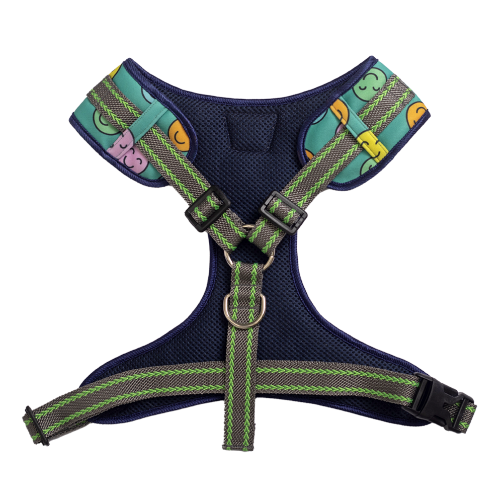 Pet And Parents Happy Smiley Padded Harness + Leash for Dogs