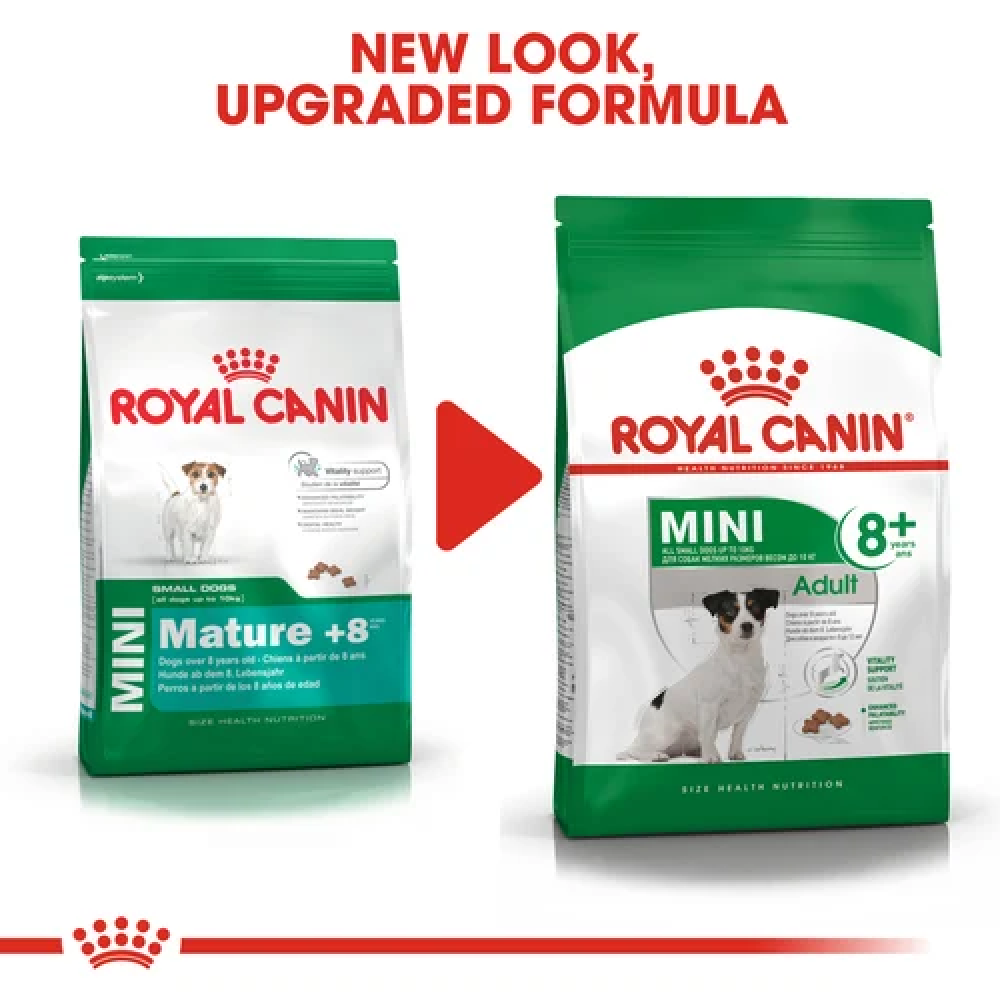 Royal Canin Mini 8+ Adult Dog Dry Food