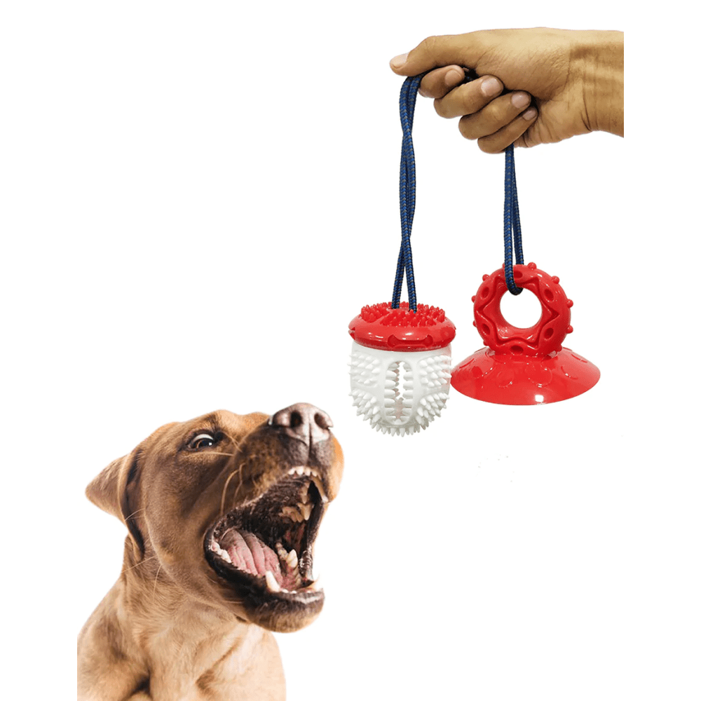 Pawsindia Tug Of Wall Supreme Toy for Dogs (Red)
