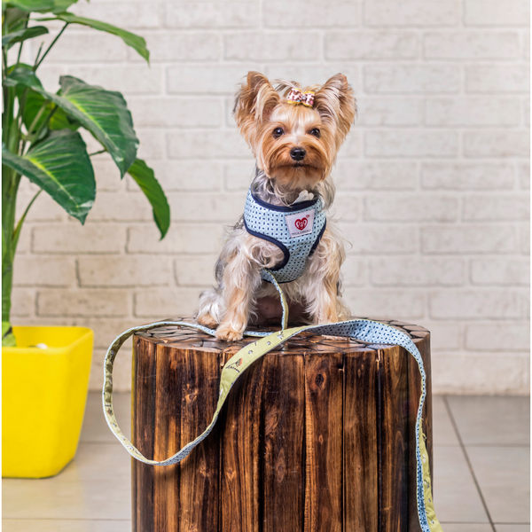 Pet And Parents Green Garden Reversible Harness for Dogs