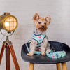 Pet And Parents Rolly Polly Reversible Harness for Dogs Dogs-Collar, Leashes, harnesses Namaste Pets