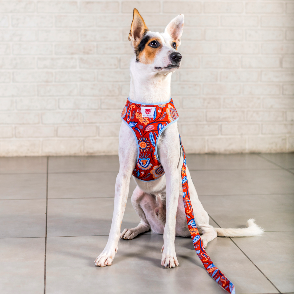 Pet And Parents Indie Floral Reversible Harness for Dogs