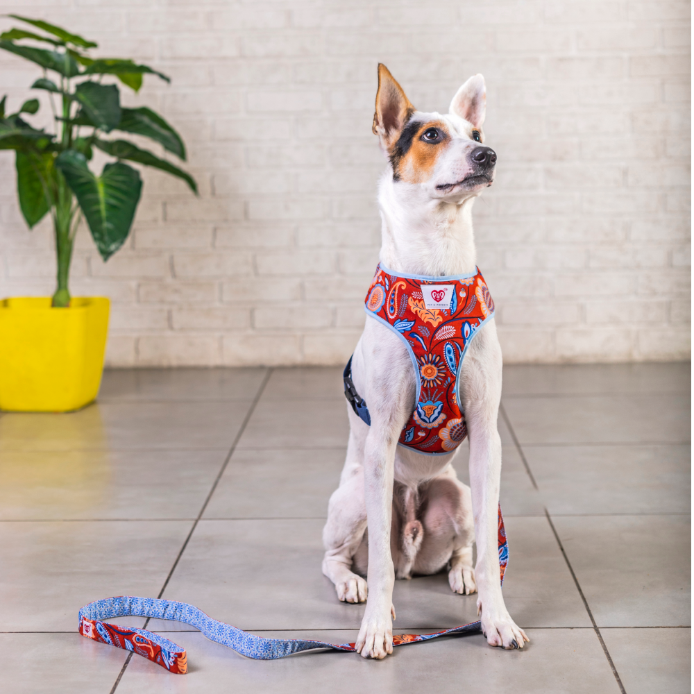 Pet And Parents Indie Floral Reversible Harness for Dogs