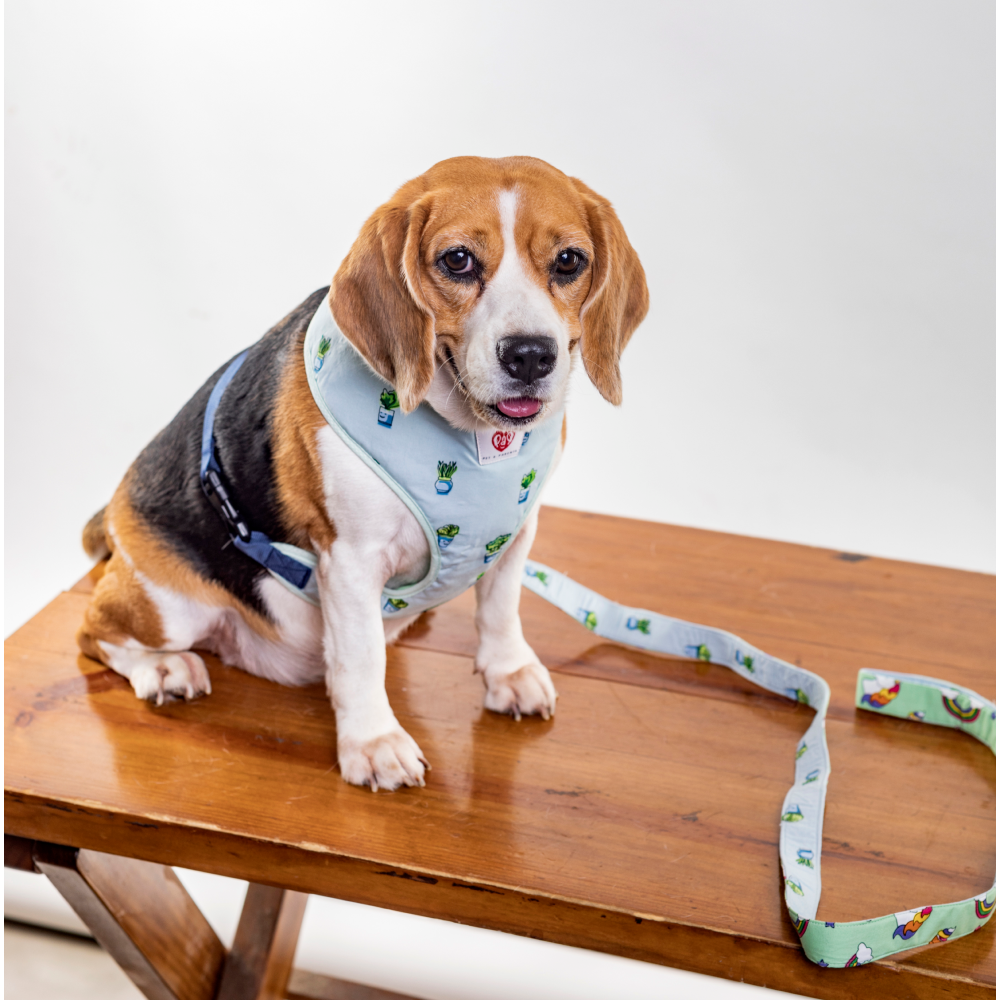 Pet And Parents Little Plant’s Wonderland Reversible Harness for Dogs