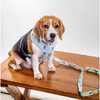 Pet And Parents Little Plant’s Wonderland Reversible Harness for Dogs Dogs-Collar, Leashes, harnesses Namaste Pets