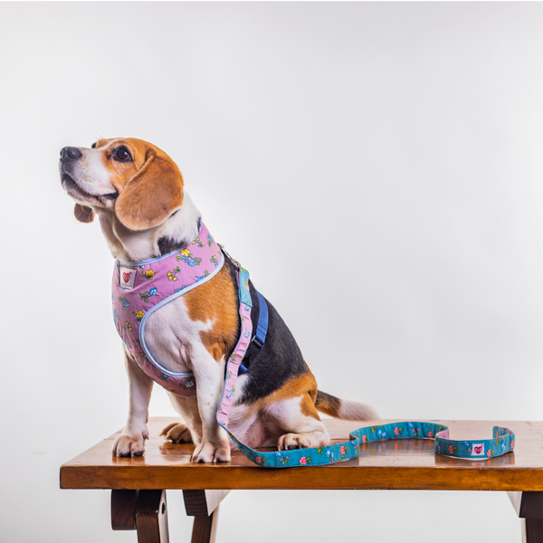 Pet And Parents Dainty Floral Reversible Harness for Dogs