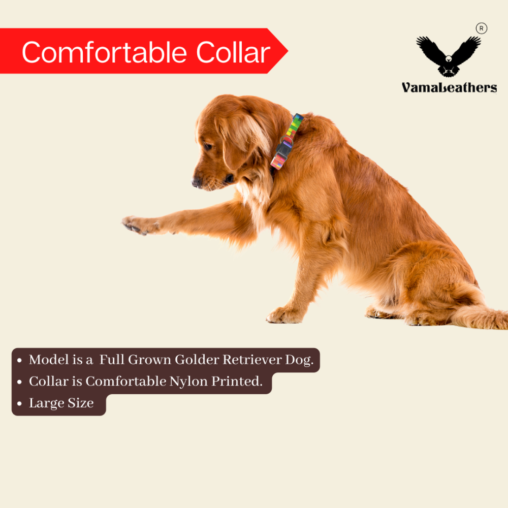 Vama Leathers Night Visible Reflective All Weather Everyday Collar for Dogs (Shiny Black)