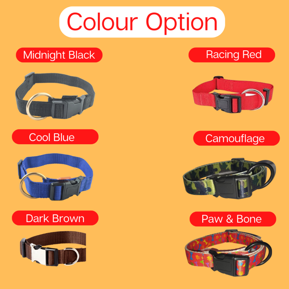 Vama Leathers Night Visible Reflective All Weather Everyday Collar for Dogs (Scarlet Red)