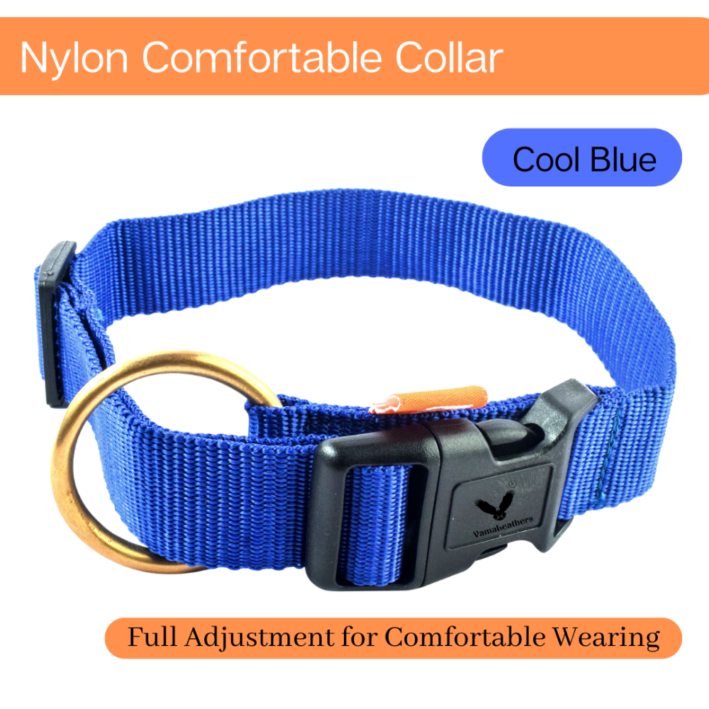 Vama Leathers Soft Durable Nylon Collar for Dogs (Cool Blue)