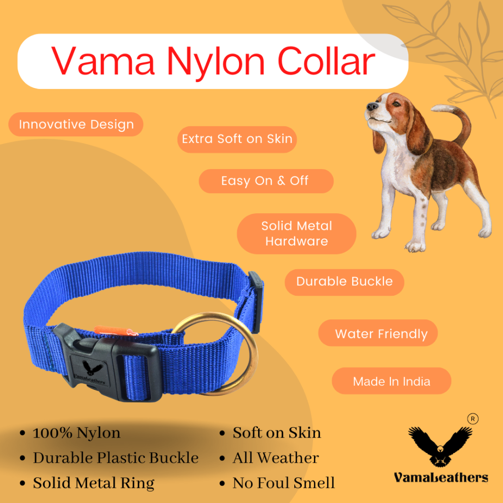 Vama Leathers Soft Durable Nylon Collar for Dogs (Cool Blue)