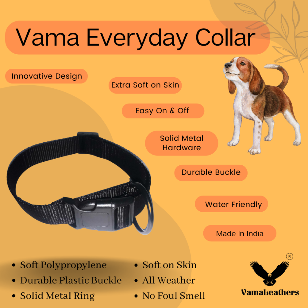 Vama Leathers All Weather Durable Everyday Collar for Dogs (Shiny Black)