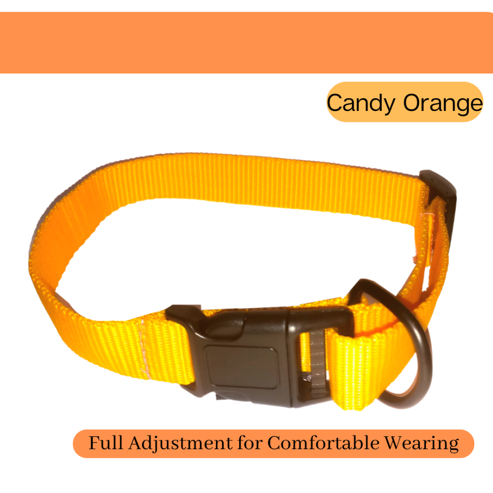 Vama Leathers All Weather Durable Everyday Collar for Dogs (Sunrise Orange)