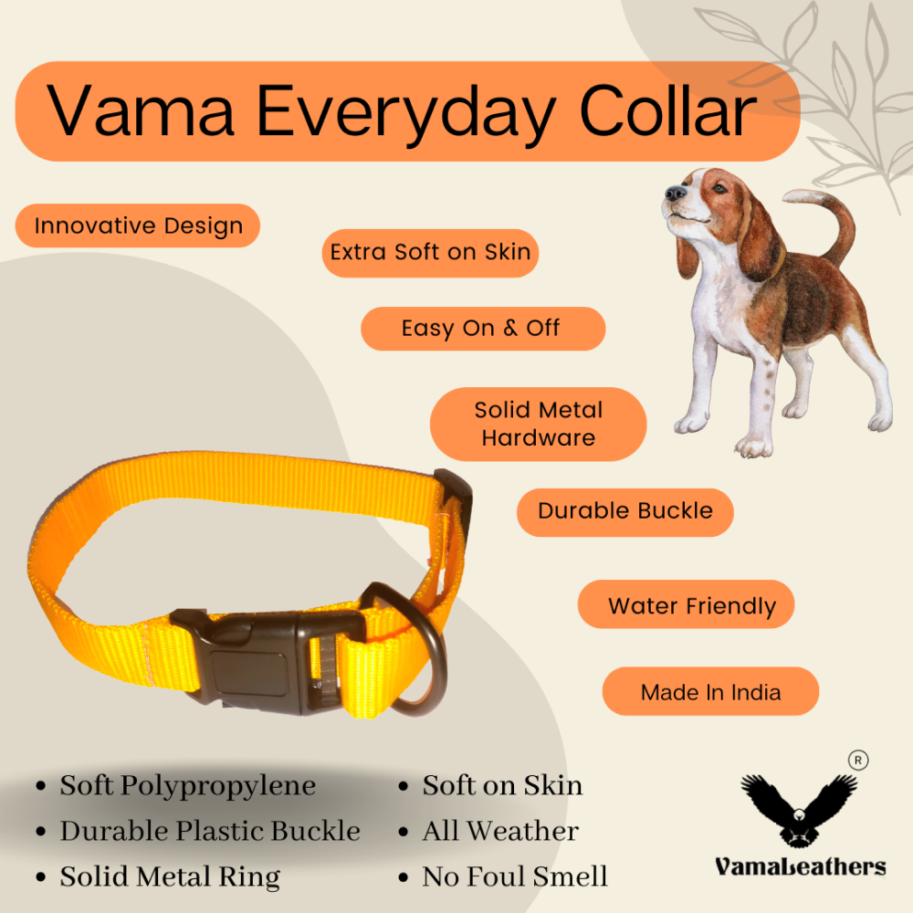 Vama Leathers All Weather Durable Everyday Collar for Dogs (Sunrise Orange)