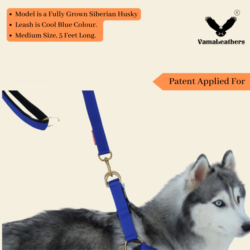 Vama Leathers Super Strong & Durable Nylon Leash for Dogs (Cool Blue)