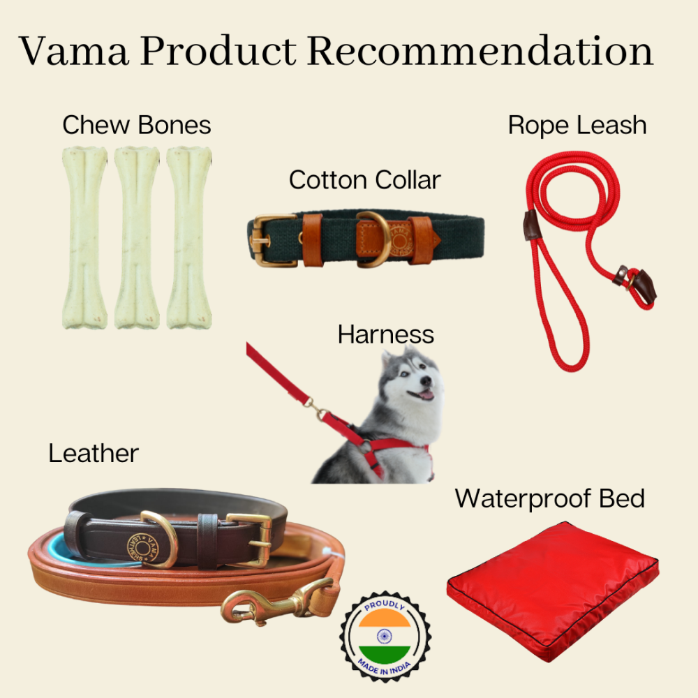Vama Leathers Super Strong Soft Handle All Weather Leash for Dogs (Shiny Black)