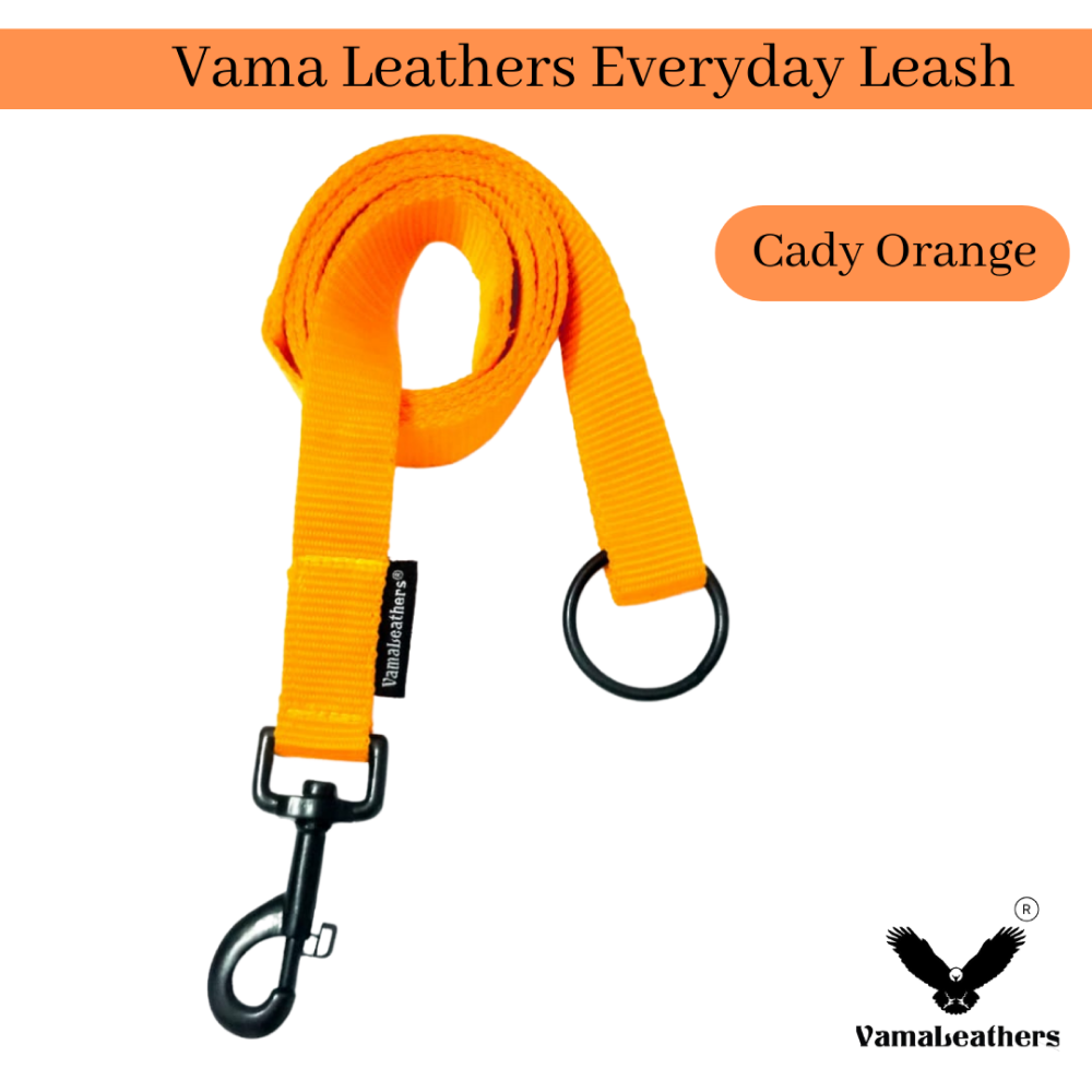 Vama Leathers Super Strong Soft Handle All Weather Leash for Dogs (Sunrise Orange)