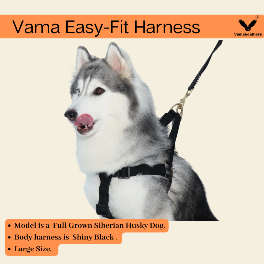 Vama Leathers Easy Fit Quick Wear Comfortable Body Harness for Dogs (Shiny Black)