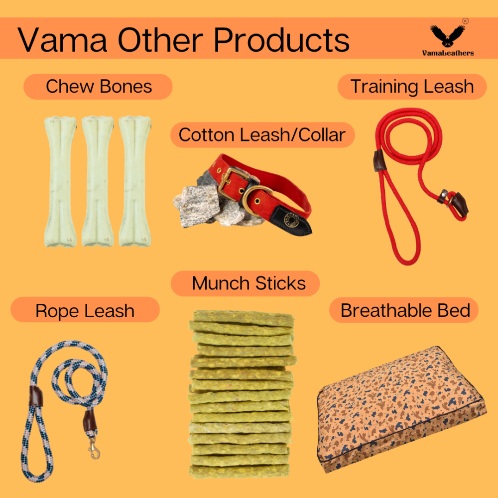 Vama Leathers Easy Fit Quick Wear Comfortable Body Harness for Dogs (Sunrise Orange)