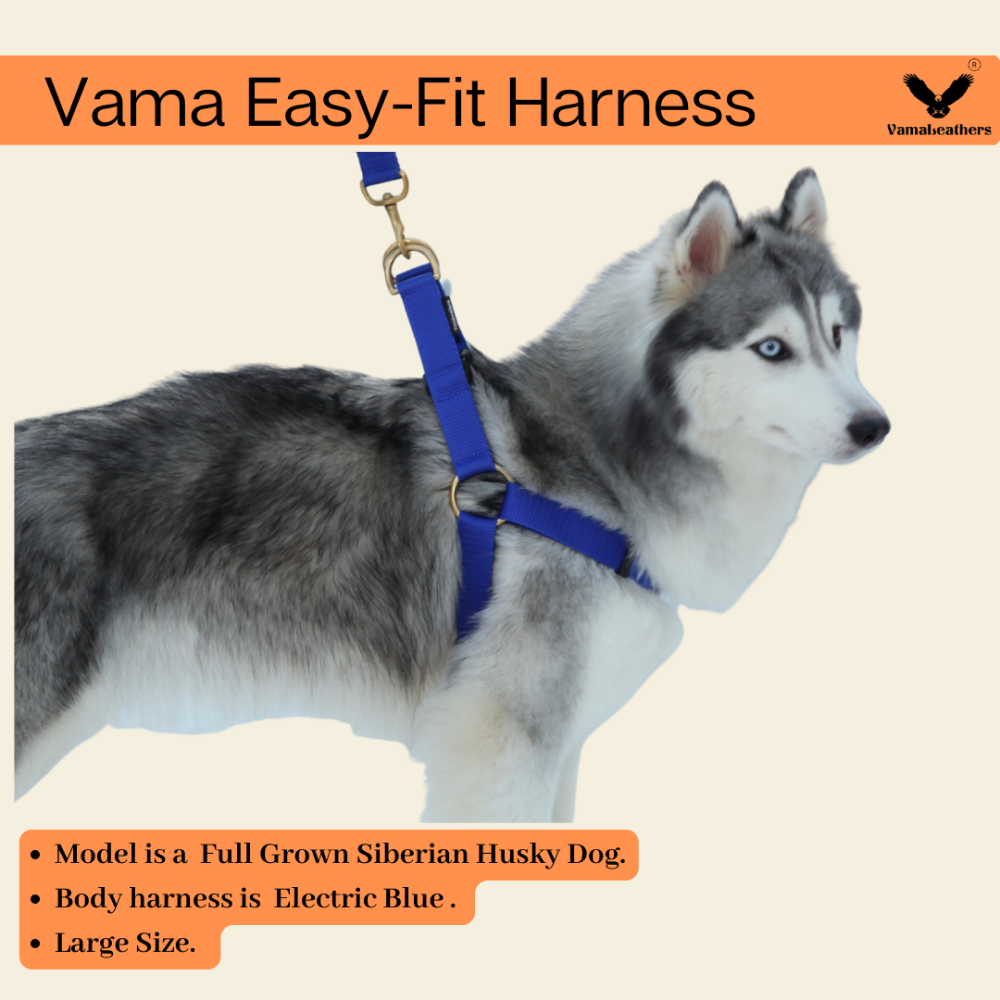 Vama Leathers Easy Fit Quick Wear Comfortable Body Harness for Dogs (Electric Blue)
