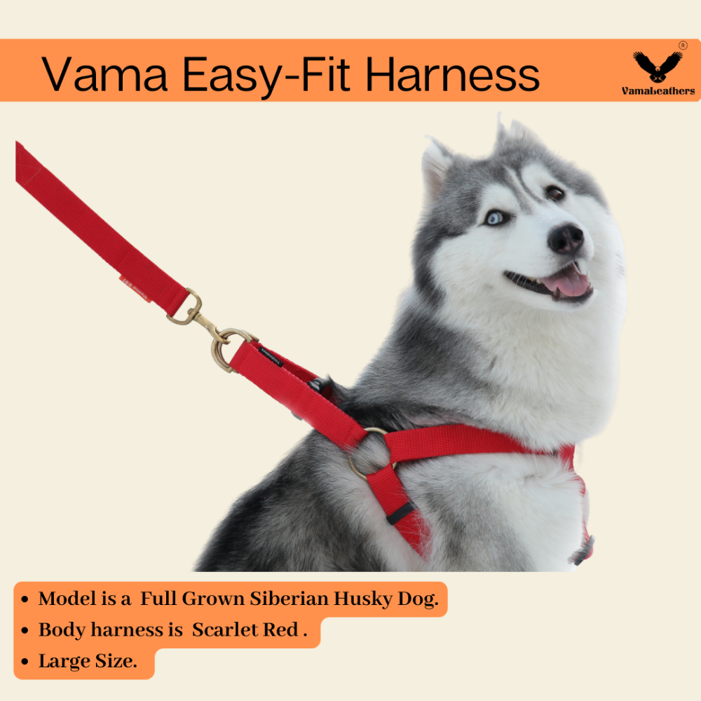 Vama Leathers Easy Fit Quick Wear Comfortable Body Harness for Dogs (Scarlet Red)