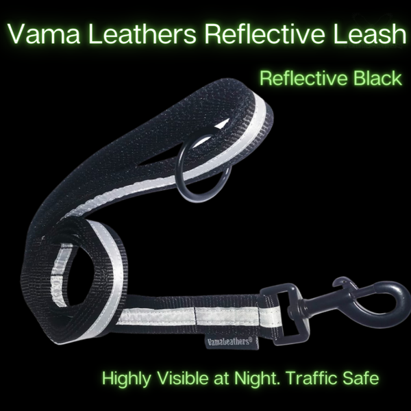 Vama Leathers Soft Durable Nylon Collar and Reflective Soft Handle All Leather Leash for Dogs Combo (Black)