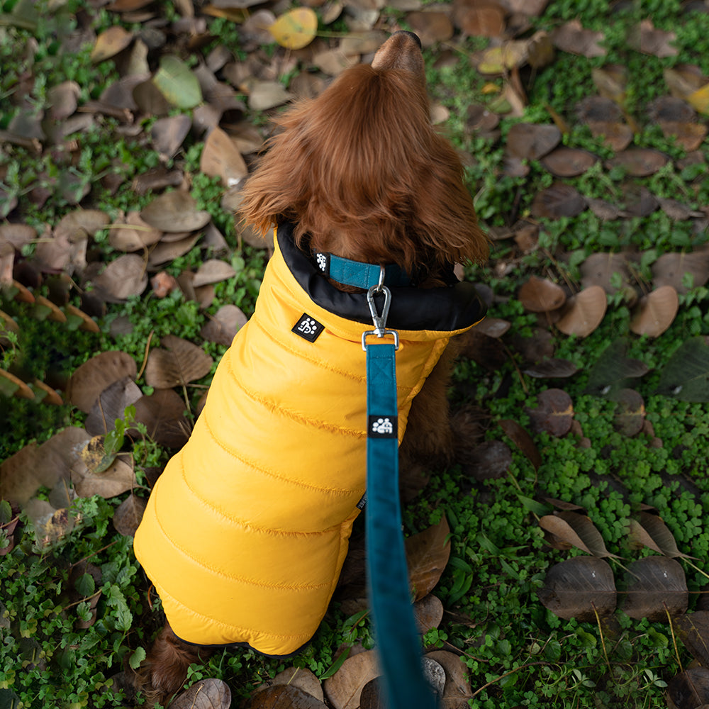 Dear Pet Quilted Jacket for Dogs (Yellow)