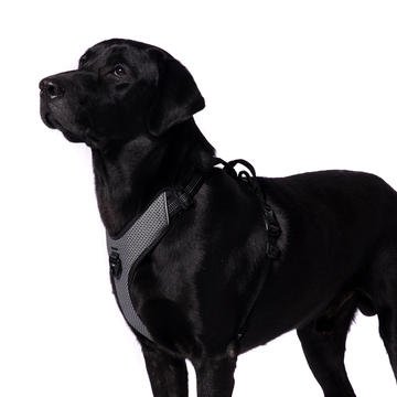 Truelove Harness with Reflective Fabric for Dogs (Black)