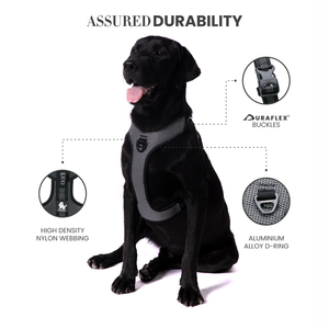 Truelove Harness with Reflective Fabric for Dogs (Black)