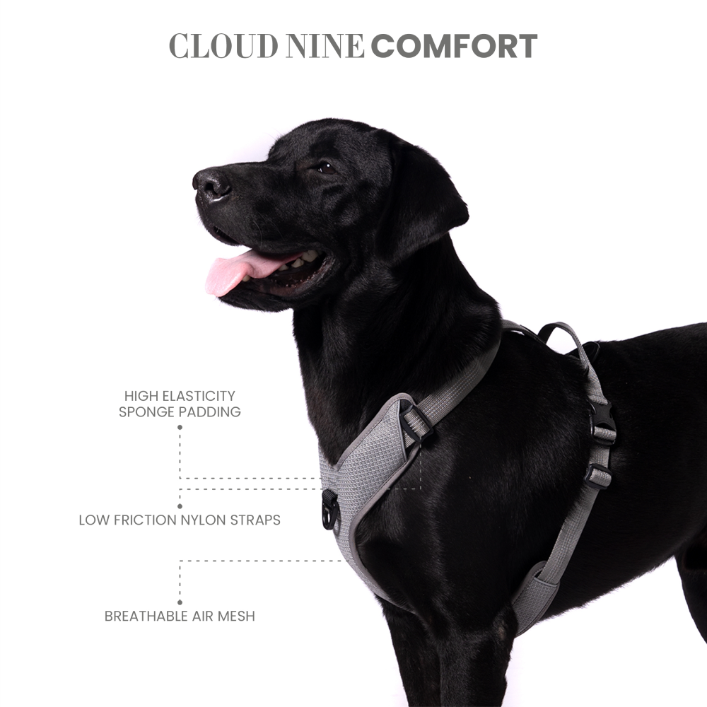 Truelove Harness with Reflective Fabric for Dogs (Gray)