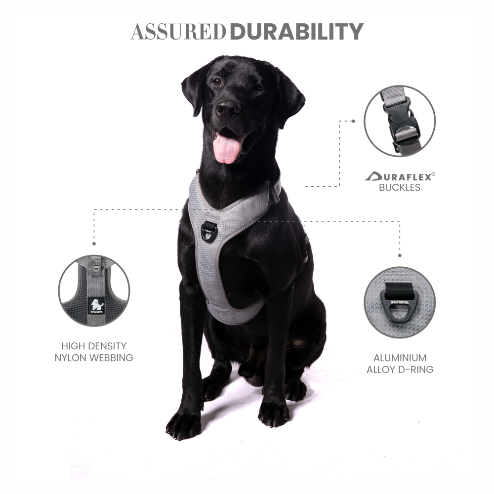 Truelove Harness with Reflective Fabric for Dogs (Gray)