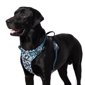 Truelove Floral No Pull Pet Harness for Dogs (Saxony Blue)